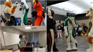 Britanicii şi-au inventat o nouă problemă: elevii se cred pisici sau căţei, iar profesorii n-au voie să îi certe