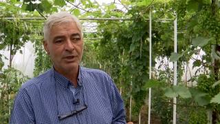 Afacerea de succes pornită de Ion. Îşi vinde recolta cu câteva luni în avans faţă de alţi producători: "Nu mă credea nimeni!"