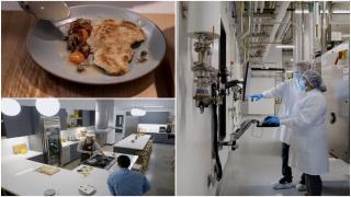 Americanii vor mânca pui făcut în laborator. Cum se desfăşoară procesul de cultivare a celulelor