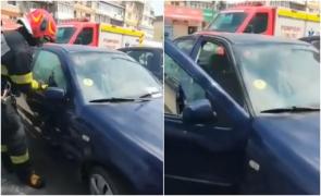 Căţeluş de două luni, lăsat să moară în chinuri într-o maşină încinsă, după ce stăpâna a plecat mai multe ore. Argeșeanca, cercetată penal