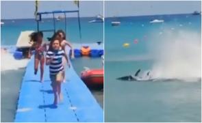 Un ton dezorientat a provocat haos lângă un debarcader din Malta. Momentul în care mai mulţi copii fug din calea peştelui, filmat