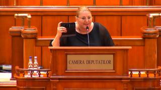 Lege "anti-Şoşoacă" votată în Parlament. Aleşii scandalagii vor avea salariul tăiat cu 50% şi rămân fără maşina de serviciu