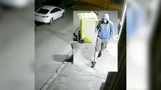 Primele imagini cu autorul dublei crime din Timişoara. Poliţia cere ajutorul populaţiei pentru a-l prinde