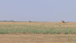 Agricultorii din nord-estul României sunt la mila naturii. Sute de hectare au fost grav afectate din cauza secetei