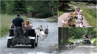 Locul unic din România unde turiştii se pot bucura de peisaje, în atelaje trase de husky. Preţul unei astfel de plimbări pe timpul verii