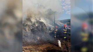 Incendiu puternic la o gospodărie din Vaslui. Pompierii s-au luptat cu flăcările 4 ore. Un acoperiş şi un adăpost de animale, făcute scrum
