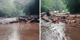 Ploile şi vijeliile au făcut ravagii în jumătate de ţară: zboruri anulate, drumuri blocate şi turişti răniţi. Cum va fi vremea săptămâna viitoare