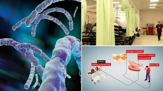 ANIMAȚIE. Cum ar fi luat antrax cei trei bărbați internați de urgență în Iași. Bacteria a fost folosită ca armă biologică în SUA, în 2001