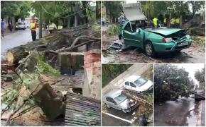 Zeci de mașini distruse de copacii prăbușiți, în București. În doar o oră, furtuna care a lovit Capitala azi dimineață a scăzut temperaturile cu 5 grade