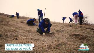 (P) Sustenabilitatea, un mod de viață