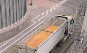România și alte patru țări cer UE extinderea interdicției la exporturile de cereale din Ucraina