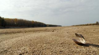 Cea mai călduroasă lună iulie din istoria măsurătorilor. Cupola de foc va mai fi prezentă și în zilele următoare