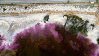 Imagini spectaculoase la Techirghiol. Cum a devenit roz lacul de lângă Eforie