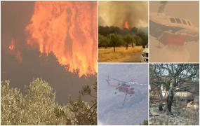 "Pur și simplu, totul ardea aici". Lupta cu flăcările pare o bătălie fără sfârşit în Grecia. Au rămas în urmă peisaje dezolante, ruine și cenușă