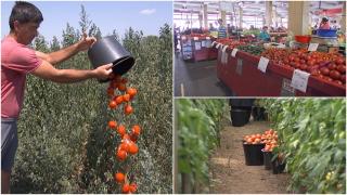 "Roşia noastră a ajuns de râs". Fermierii români aruncă recolta pe câmp pentru că nimeni o vrea. Răspunsul cinic al Ministerului Agriculturii