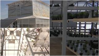 Proiect revoluţionar de un 1 milion de lei în Buzău. Invenţia care ar putea ajunge şi în curţile fermierilor "promite" un profit de 5 ori mai mare