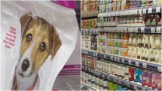 Guvernul vrea să majoreze TVA-ul la 19% pentru mâncarea animalelor de companie. Cât ar trebui să cheltuiască stăpânii pentru hrana pe o lună