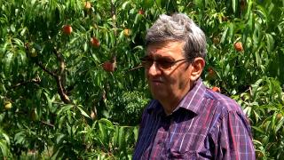 Soiurile pe care le are Ioan Craiu în grădină, după schimbările climatice: "Ăsta este viitorul"