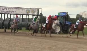 Curse inedite de cai, la Hipodromul din Ploieşti. Premiul a fost de 25.000 de lei