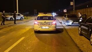 Localitatea terorizată de un pui de urs: Împuşcat cu tranchilizant, animalul tot a reuşit să scape într-un lan de porumb. Mesaj RO-Alert trimis