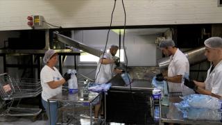 Afacerea care a explodat în plin cod roşu de caniculă. 3 lei costă o pungă în fabrică, iar în magazine preţul creşte considerabil