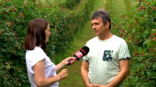 Afacerea cu care Ion a dat lovitura peste hotare. Străinii, dispuşi să plătească bani grei: "Ziceau că sunt mai gustoase decât ce au ei"