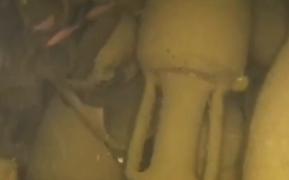 Resturile unei nave antice, scufundate cu un secol înainte de Hristos, descoperite la mică distanţă de ţărmul Italiei