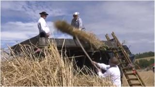 Slovacii din Bihor au trezit la viaţă poveştile bunicilor. Au mers la secerat cu batoza veche de aproape 200 de ani: "Noi aşa am crescut, aşa era atuncea"