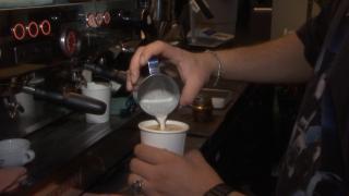 Zeci de mii de firme ar putea pune lacătul pe uşă după noua propunere a Guvernului. Medeea a investit 80.000 de euro într-o cafenea pe care o poate închide după 5 ani