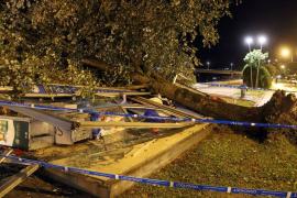 Furtuna Antoni a adus haosul în Europa. Serbia lovită de grindină şi de rafale de vânt care au depăşit peste 100 km/h