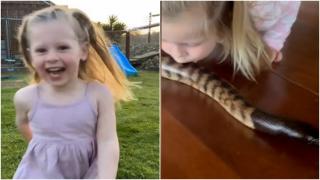 Fetiță de 4 ani, prietenă cu pitoni, struţi și canguri. Se juca cu șerpii când nici nu făcuse primii pași: "Vorbește cu ei și par să o iubească"