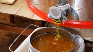 Mierea de la ucraineni, mai slabă și mai ieftină, îi bagă în faliment pe apicultorii români. A noastră zace în depozite