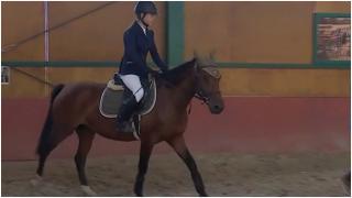 Febra sportului nobil cuprinde tot mai mulți români: "Mi s-a părut un sport foarte elegant". Cât costă o ședință de echitație