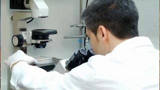 Tratament revoluționar împotriva leucemiei, aprobat în SUA: Sistemul imunitar ajutat să ucidă celulele canceroase din sânge sau măduva osoasă