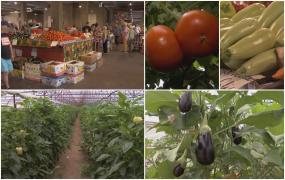 Specialiştii dezvăluie adevărul din spatele reducerilor de 50% anunţate de Guvern. Comparaţia preţurilor nu a fost făcută cu ultima lună, iulie