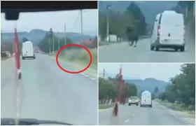 Tatăl unui copilaș de 2 ani, omorât de o dubă la finalul unei curse haotice, pe un drum din Gorj. Șoferului i s-ar fi făcut rău la volan