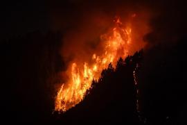 Cel mai grav incendiu din ultimii 40 de ani, din Tenerife: mii de oameni, evacuaţi din calea flăcărilor