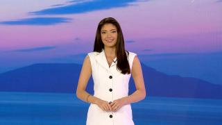 Observator de bine, 22 august 2023. Căţeluşa Kyra, salvată după 12 ore din fântână