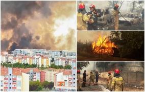 Infernul din Grecia s-a extins şi în Turcia. Cu disperare, oamenii au încercat să-şi salveze măcar animalele: "Toți sunt ghemuiți împreună, speriați"