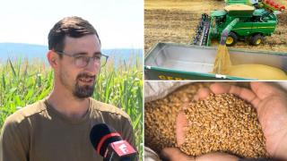 Recoltă bună la cereale în 2023, însă speranțe slabe de ieftiniri la raft. Mare parte din producție va merge în străinătate
