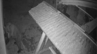 Un urs a ieşit "la plimbare" prin staţiunea Rânca. Animalul a vizitat cinci cabane