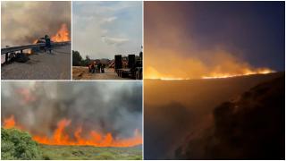 Focul a pus stăpânire pe pădurile Greciei. Meteorologii vin cu veşti rele: direcţia vântului s-ar putea schimba, iar flăcările se vor răspândi şi mai mult