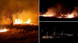 Incendiu în Parcul IOR. Oamenii susțin că există un plan bine pus la punct de a distruge zona: "Să fie siguri că nu mai rămâne nimic"