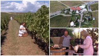 "Într-un cuvânt, minunat". Turiştii care merg pe Drumul Vinului sărbătoresc culesul viilor cu muzică şi mâncare tradiţională