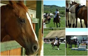 Tainele călăriei predate celor mici în tabăra specială de echitație de la Şoimuşu Mic: "A fost dorinţa ei, de când era mică"