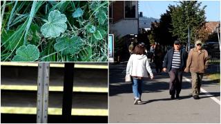 De la 1 grad dimineaţa, la 22 de grade la prânz. Zona din România unde localnicii au trăit un adevărat şoc termic la început de toamnă