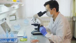 Revoluţie în lumea ştiinţifică. Cercetătorii israelieni au creat un embrion uman de la zero, fără spermatozoizi, ovule sau uter