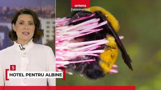 5 despre tine, 12 septembrie 2023. Parcare pe care: cele mai scumpe locuri de parcare din România