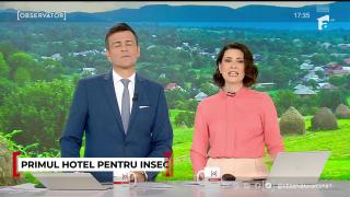 Primul hotel pentru insecte din ţară