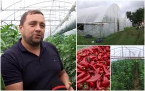 Daniel se ocupă de legume de aproape un deceniu, iar acum va lua bani de la stat. Cât va primi pentru fiecare metru pătrat cultivat în seră